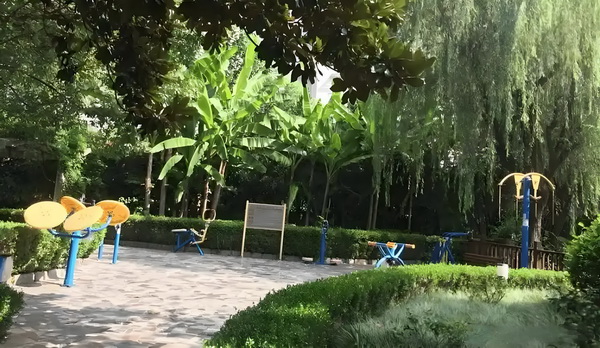 入深户的中级职称有哪些_2025上海城市形象片焕新发布：上海新一刻，城市因你更美好 片焕新发布编辑：向昌明责任